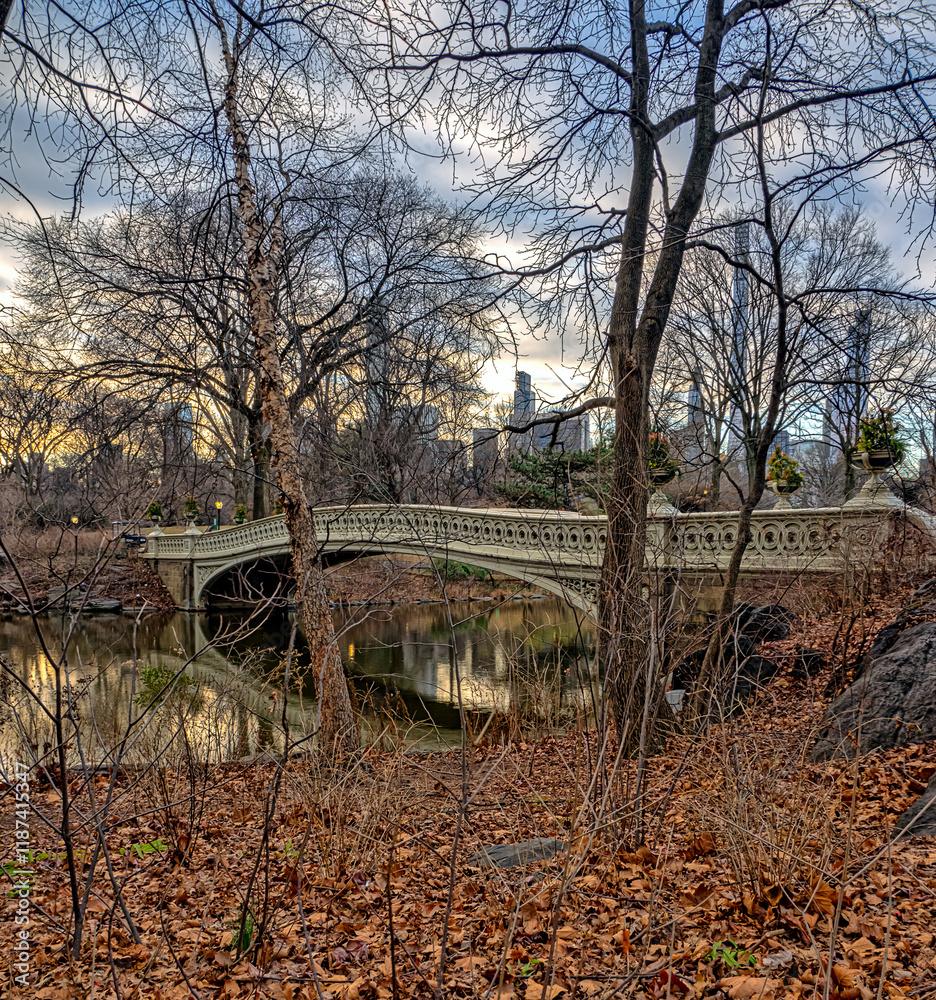 Bow bridge in winter