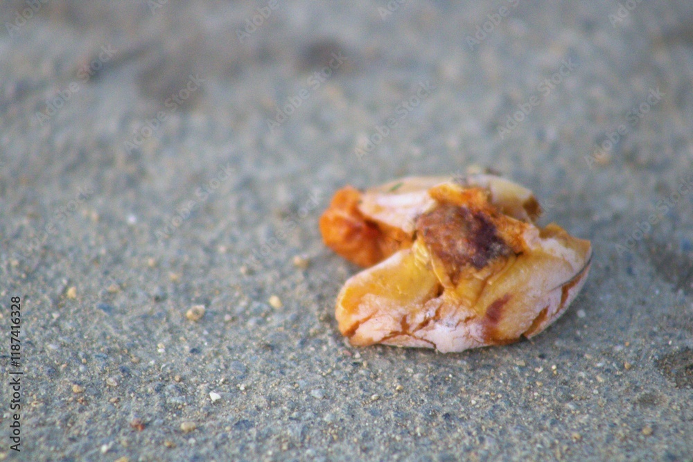 Fototapeta premium smushed apricot fruit on the ground