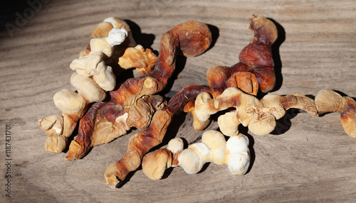 reishi, lingzhi, mushroom, chizhi, fungi, fungus ganoderma, multipileum, polypore, lucidum, traditional, medicine, antler, beta-glucans, medicinal, immunity, cultivated, harvest, anticancer, antitumor
