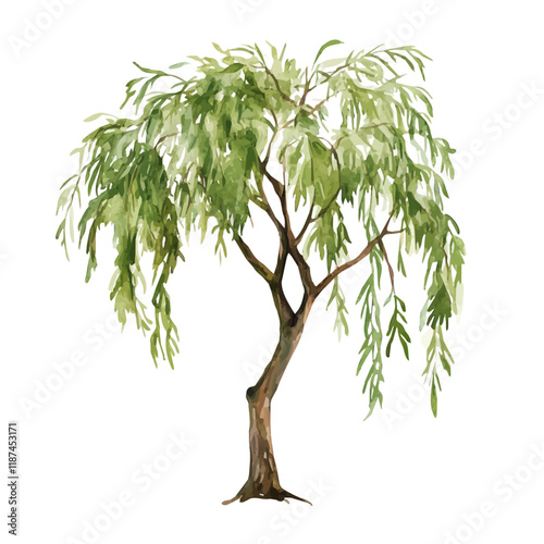 r0nan_em_Willow_tree_sapling_high_quality_watercolor_graphic_si_3845b9b2-dd21-40b8-9533-f6dc9559ac70_top_right