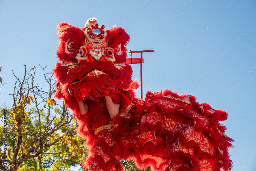 Chinese dragon puppet head It is a popular show during the Chinese New Year