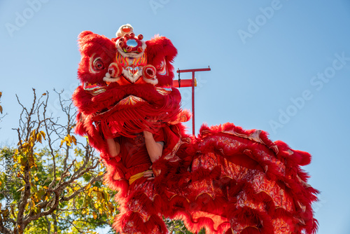 Obraz na płótnie Chinese dragon puppet head It is a popular show during the Chinese New Year w salonie