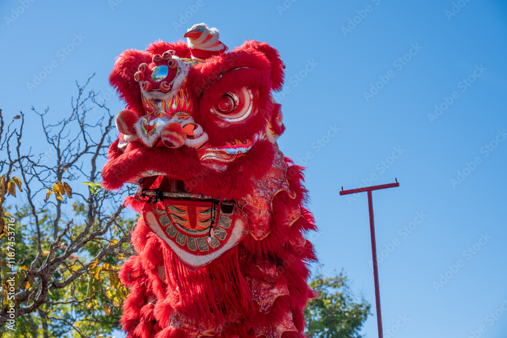 Chinese dragon puppet head It is a popular show during the Chinese New Year