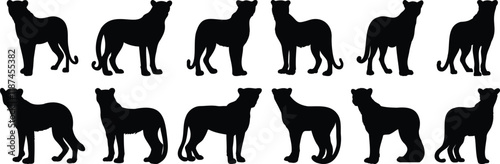 Leopard silhouettes set, animal pack of vector silhouette design, isolated background