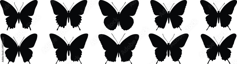 Fototapeta premium Butterfly silhouette set vector design big pack of insect illustration and icon