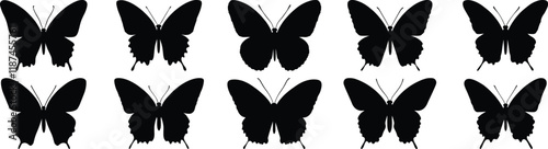 Butterfly silhouette set vector design big pack of insect illustration and icon