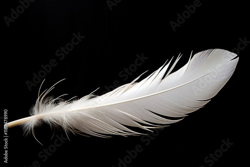 Federleicht White Down Jacket - The Weightless Feather-like Jacket for Hovering and Flying with Ease