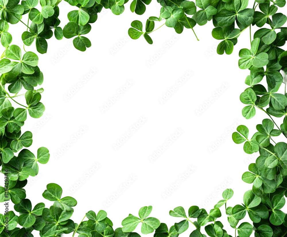 Clover leaf border frame nature scene high fidelity visuals green environment close-up view decorative concept isolated on transparent background png Clover leaf border frame nature scene high fidelity visuals green environment close-up view decorative concept isolated on transparent background png