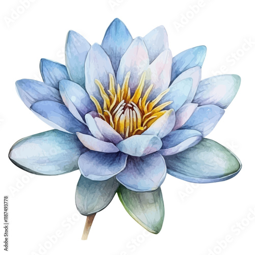 A watercolor vector of a water lily, isolated on a white background. Water lily vector.
