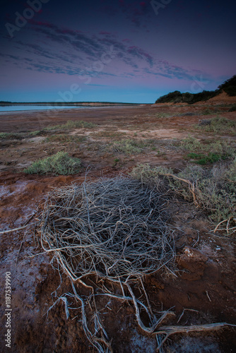 Semi desert environment landcape, La Pampa province, Patagonia, Argentina. photo