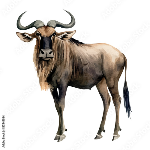 A watercolor vector painting of a Wildebeest, isolated on a white background. Wildebeest vector.

