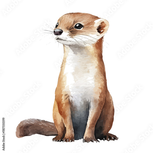 A watercolor vector painting of a Weasel, isolated on a white background. Weasel vector.

