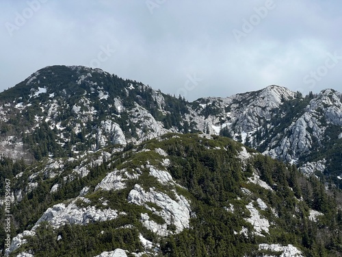 View of karst peaks and mountain forest from Balinovac peak - Northern Velebit National Park, Croatia (Pogled na krške vrhove i planinsku šumu s vrha Balinovac - Nacionalni park Sjeverni Velebit) photo