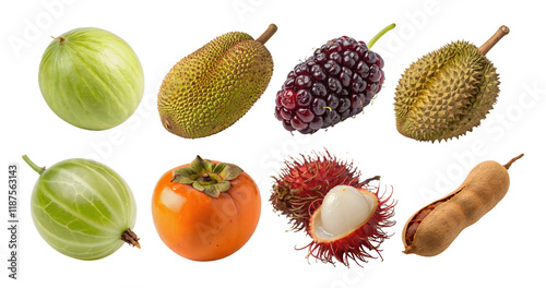 Fototapeta Naklejka Na Ścianę i Meble -  collection of exotic fruits including honeydew melon, gooseberry, jackfruit, rambutan, mulberry, persimmon, tamarind, and durian, isolated on white cutout transparent background, ideal design projects