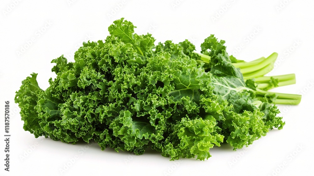 Fresh Bunch of Kale Isolated on White Background Vibrant Green Colors Fresh Bunch of Kale Isolated on White Background Vibrant Green Colors