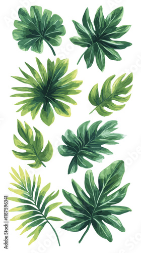 Lush Green Tropical Foliage Illustration Featuring Varied Palm Leaves and Exotic Jungle Plants for Botanical Artwork, Nature, Decorating, and Designing Landscapes