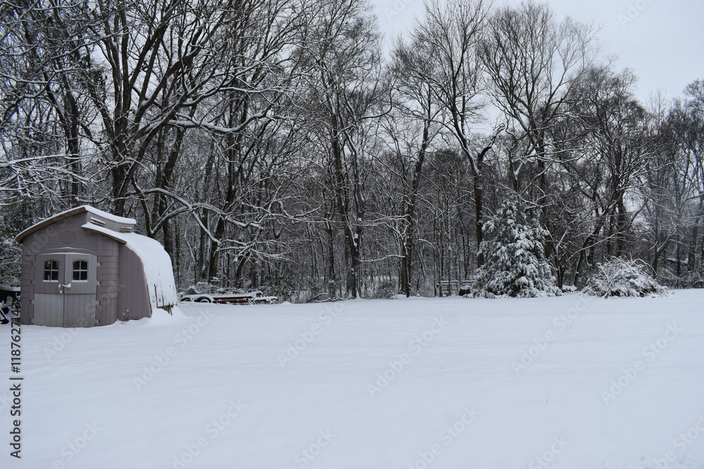 Naklejka premium snow covered green house