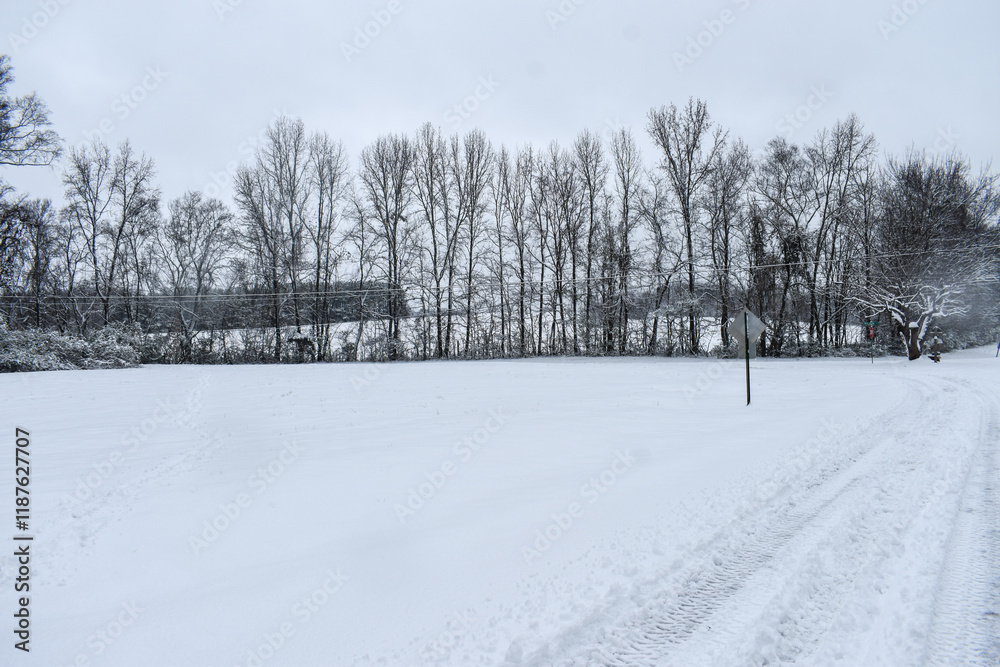 Fototapeta premium winter landscape with snow