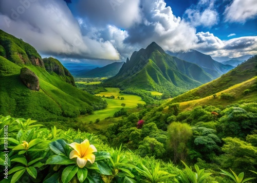 Oahu Windward Side Misty Valley Macro