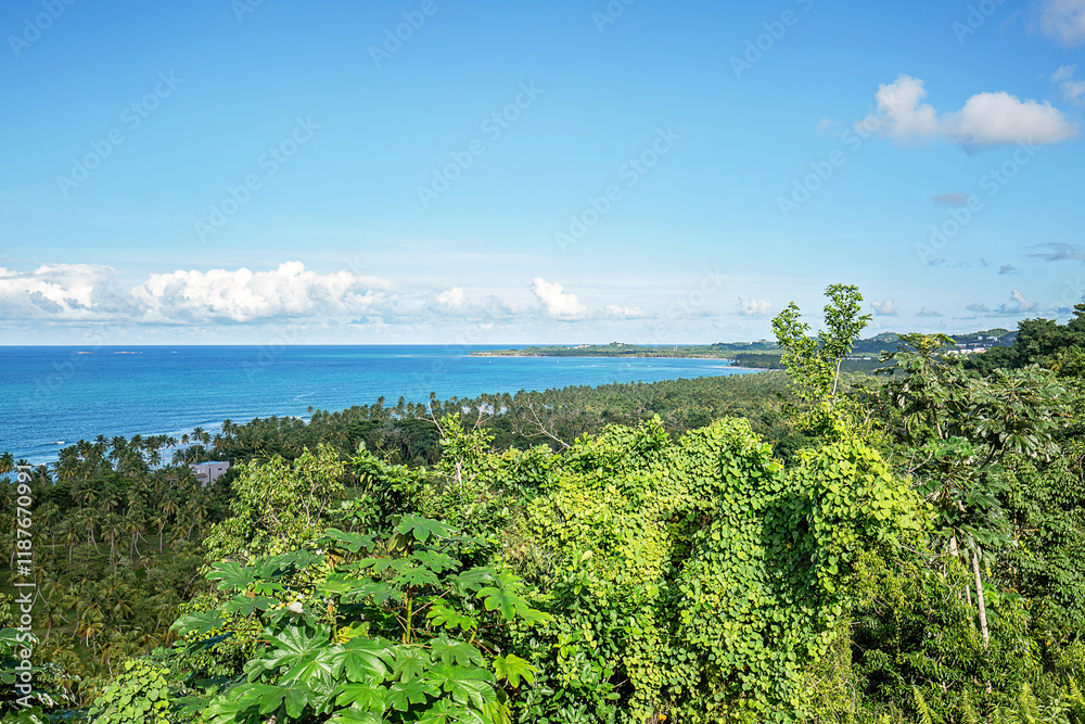 Beautiful view to the tropical sea shore