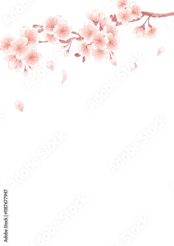 watercolor beautiful cherry blossom background illustration 8