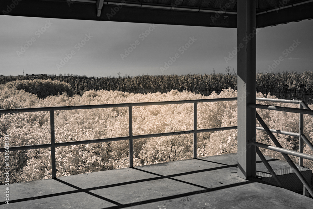 Infrared photography, a view from a covered structure looking out onto a landscape filled with trees Infrared photography, a view from a covered structure looking out onto a landscape filled with trees