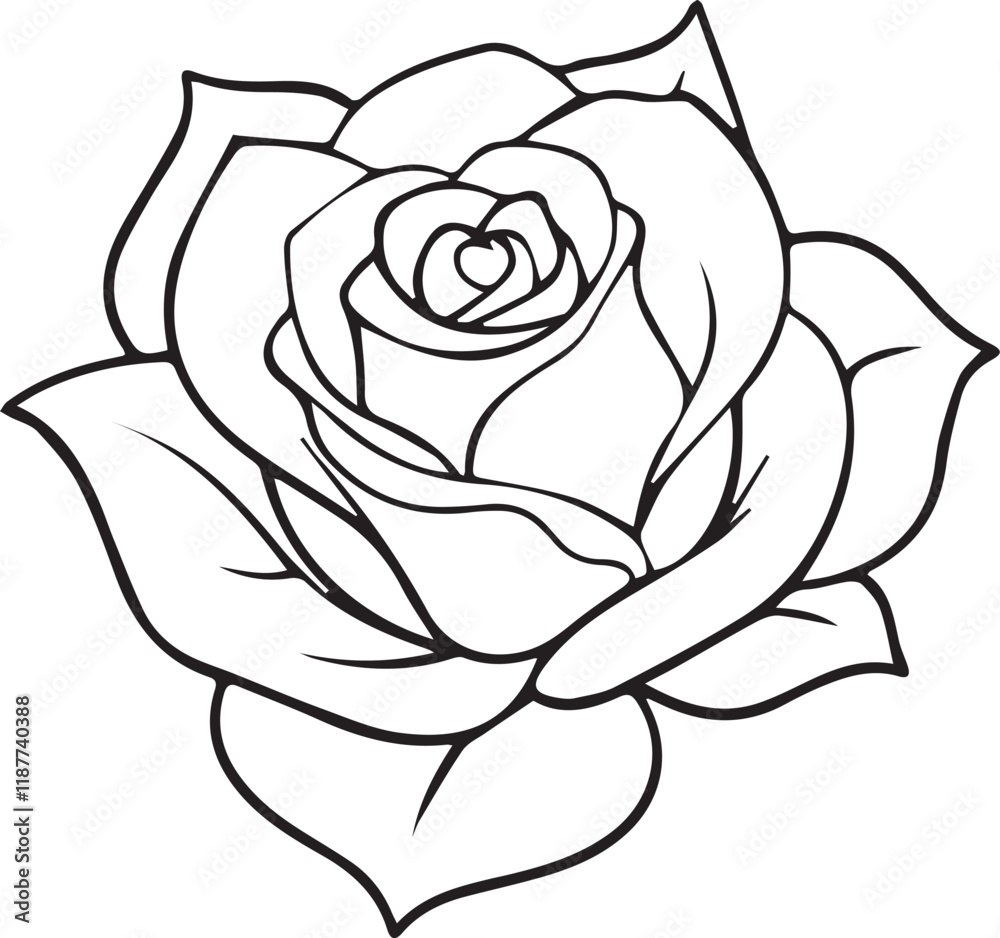 Rose flower line art vector Rose flower line art vector