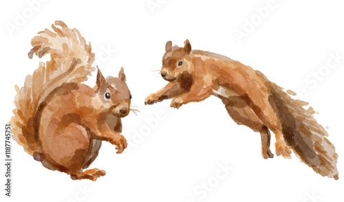 Watercolor set of squirrel for logo, invitations and more