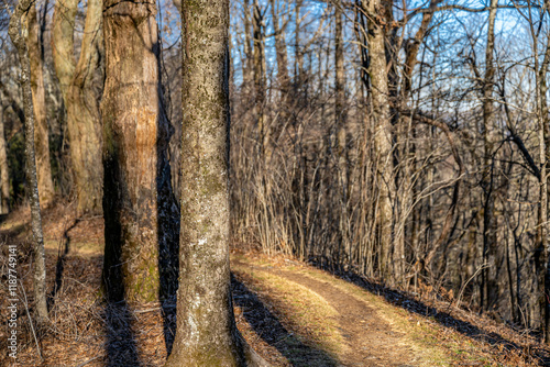 blue ridge mountains photo