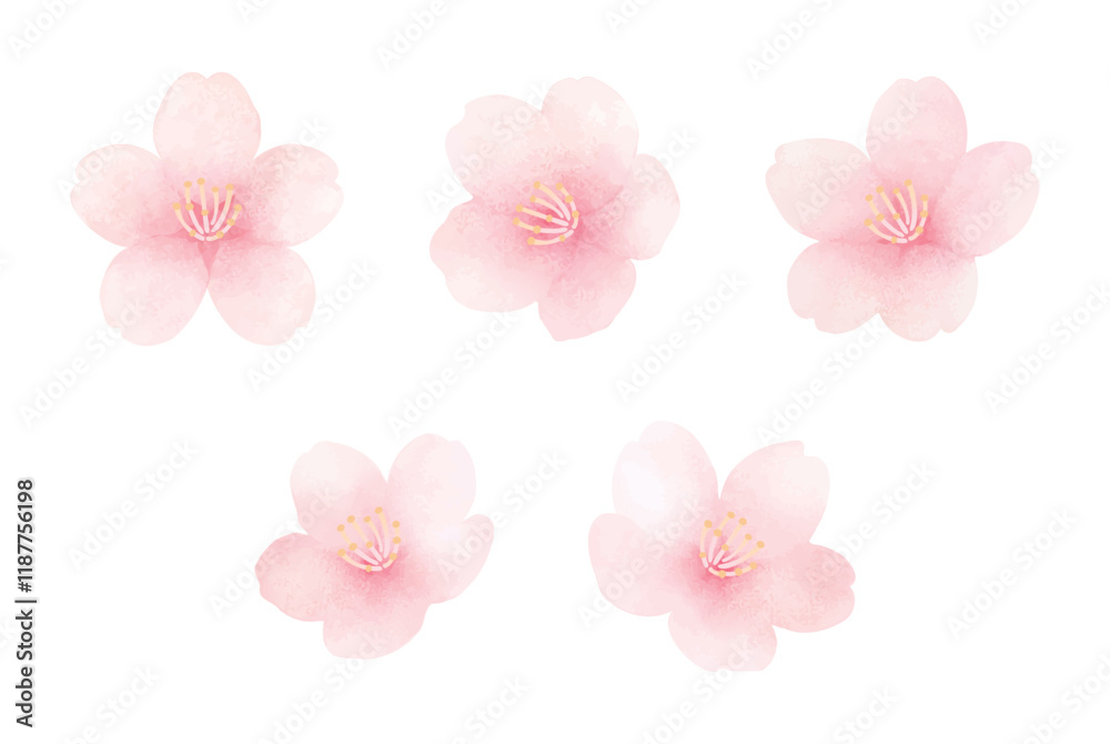 Cherry blossoms in full bloom. Cute hand painted spring flower set. Watercolor illustration. Cherry blossoms in full bloom. Cute hand painted spring flower set. Watercolor illustration.