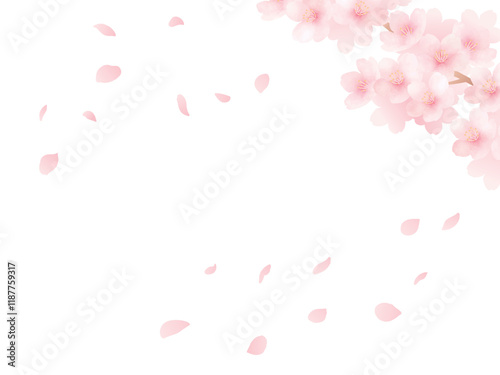 Background of cherry blossoms in full bloom and petals. Watercolor illustration.