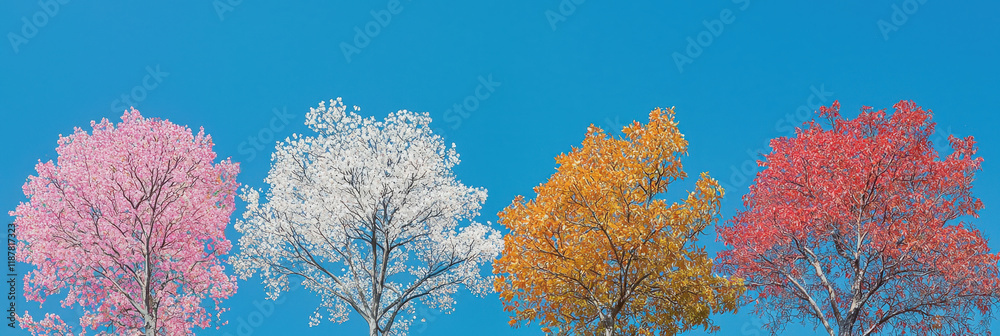 vibrant display of colorful trees against clear blue sky, showcasing pink, white, orange, and red foliage vibrant display of colorful trees against clear blue sky, showcasing pink, white, orange, and red foliage