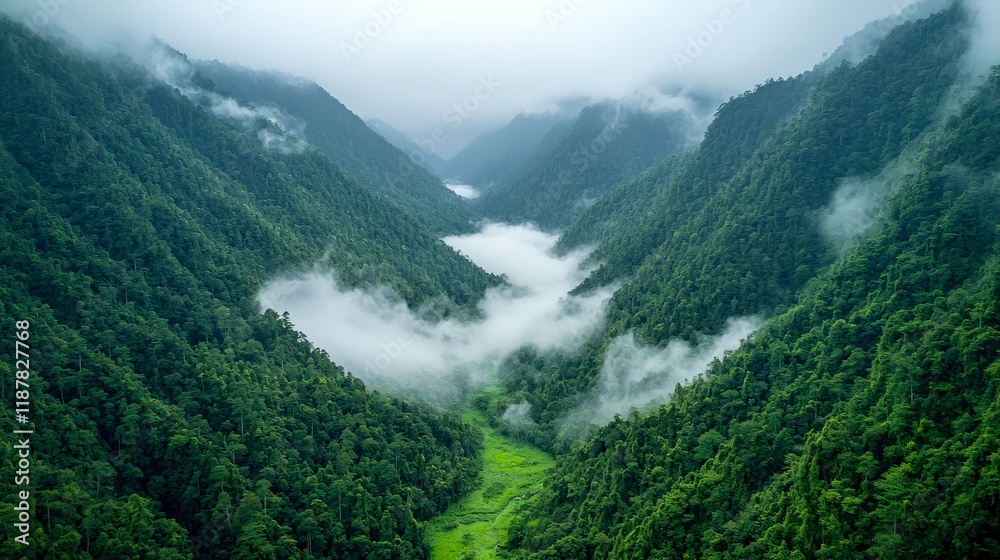 Obraz premium Misty Mountain Valley: An Aerial View of Serene Nature - Breathtaking Landscape Photography