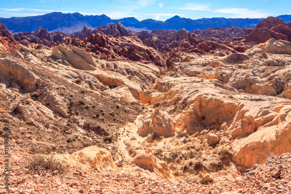 Fototapeta premium The Valley of Fire