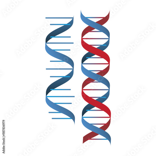 illustration of dna and chromosome 