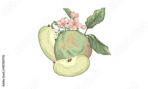 Green apple watercolor