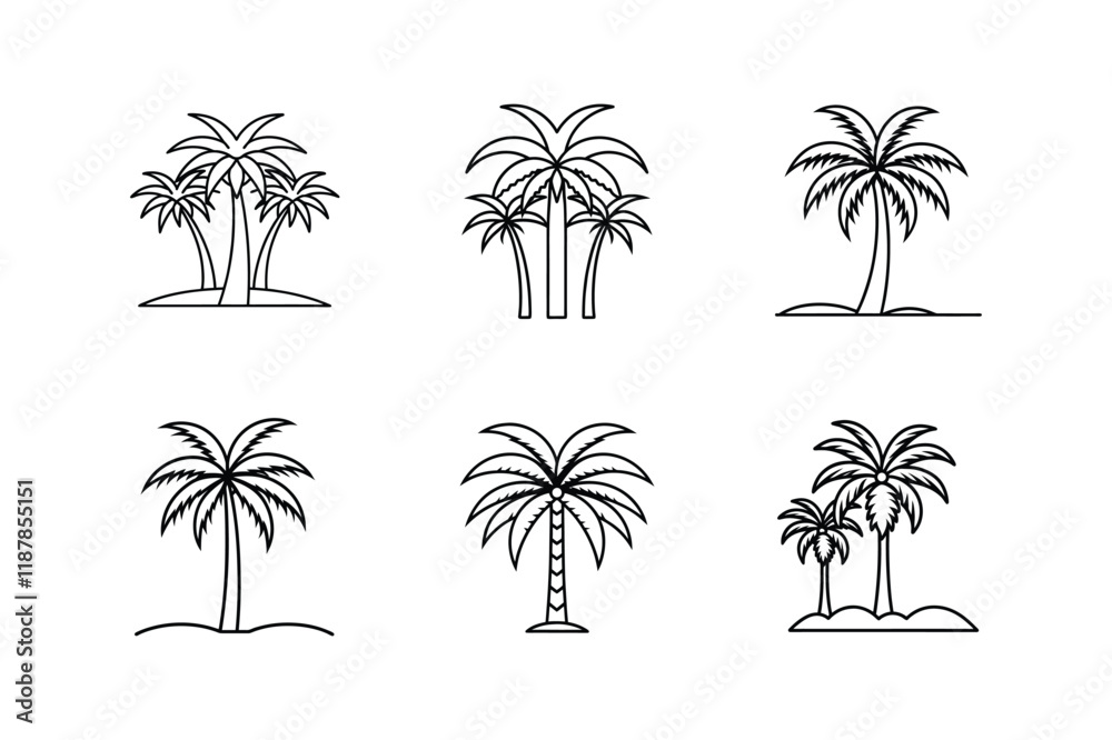 Fototapeta premium date palm grove illustration vector