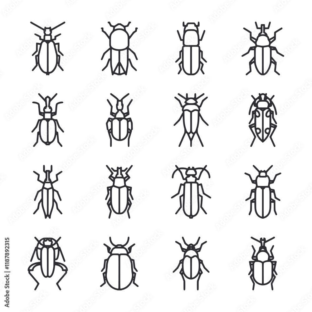Fototapeta premium A series of black and white drawings of bugs
