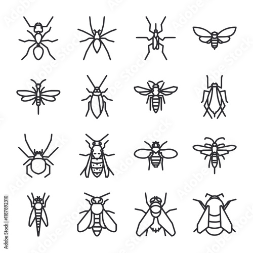 A set of insect drawings in black and white