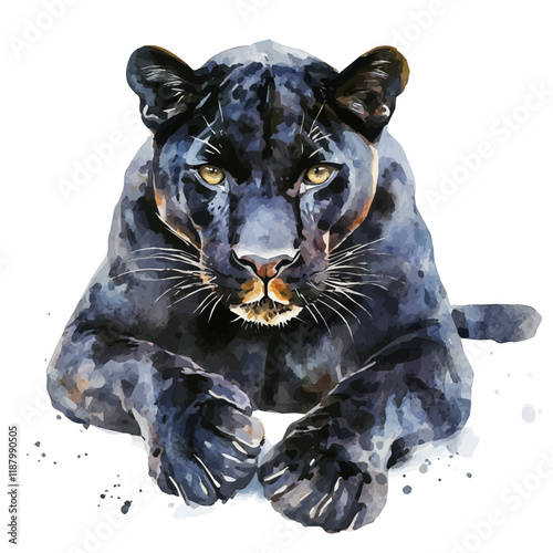 A watercolor vector painting of a Panther, isolated on a white background. Panther vector.

