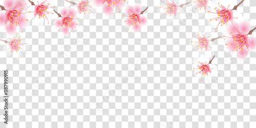 和柄　桜　春　背景