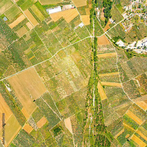 Lamia, Phthiotis, Greece. Panorama of the valley with fields. Olive trees, colorful fields. Summer, Cloudy weather. Aerial view photo