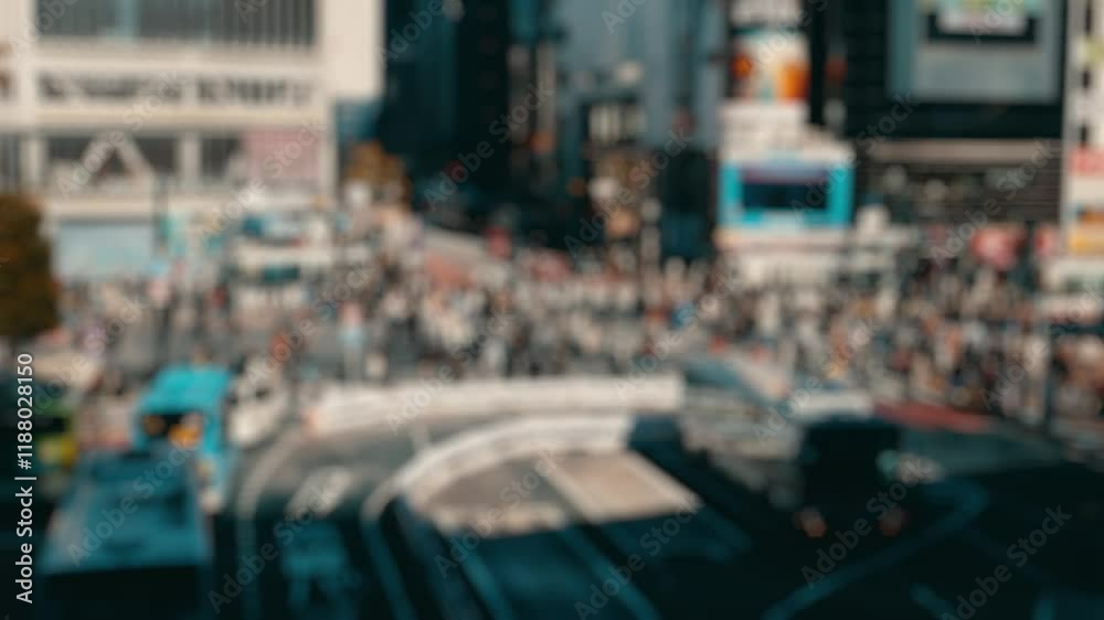custom made wallpaper toronto digital歩行者が移動する東京の渋谷スクランブル交差点　スローモーション