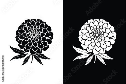 Marigold Flower Vector. Stylish Silhouette for Creative Design Elements photo