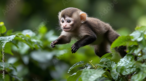 Adorable Young Monkey Leaping Through Lush Green Rainforest Canopy