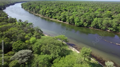 Explore the Beauty of Mangrove Forests Along Serene Winding Rivers: Thriving Ecosystems Protecting Coasts and Supporting Biodiversity in Stunning 4K Aerial View