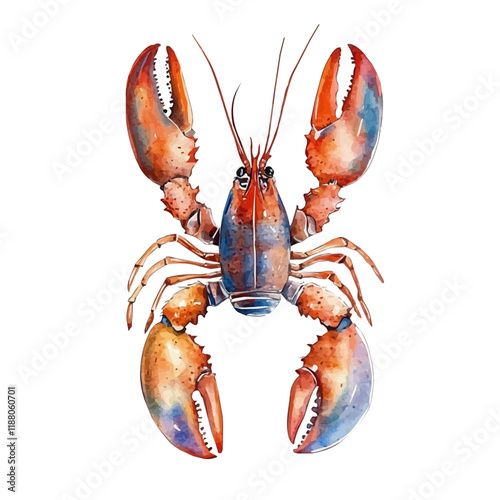 A watercolor vector painting of a Lobster, isolated on a white background. Lobster vector.

