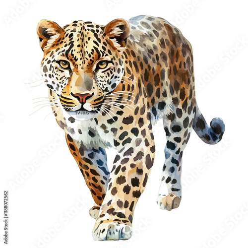A watercolor vector painting of a Leopard, isolated on a white background. Leopard vector.

