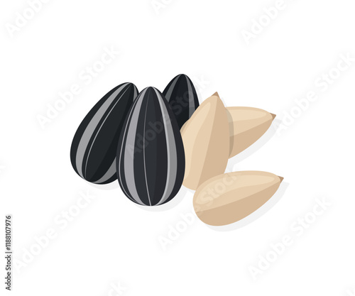 Sunflower seeds in a shell and without ready to eat snack vector illustration