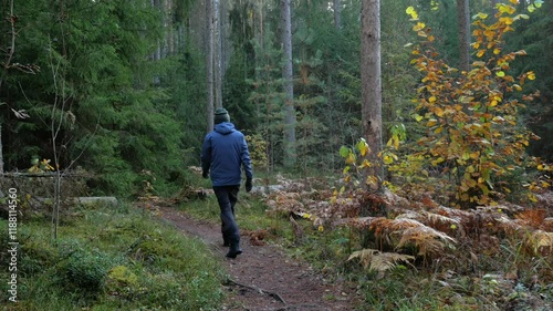 Hiker walking on a path in an autumnal forest